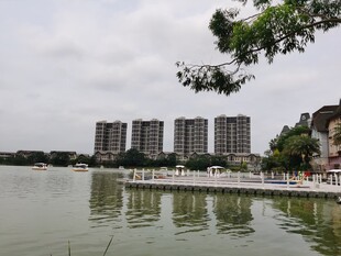 湖畔高楼与绿树相映 惠州