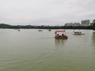 湖上泛舟赏景 惠州西湖