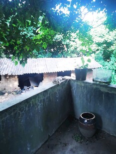 乡村小院一角 狸花猫 