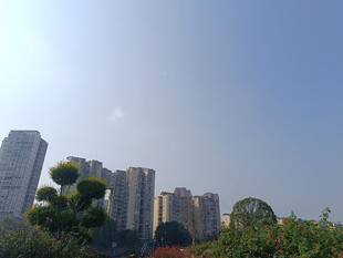 城市高楼与绿植景观