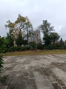 户外空旷水泥场地与树木