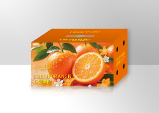 橙子包装盒展示 手提箱 效果图