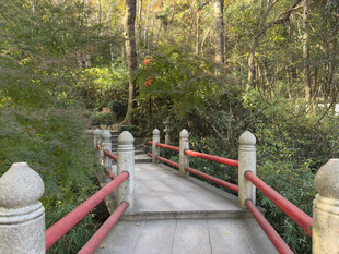 林间红栏石桥景观