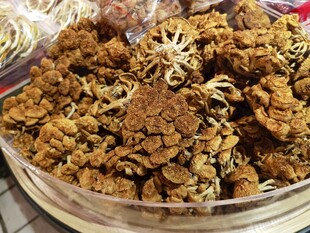 美味干制菌类食材