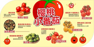 樱桃小番茄宣传海报