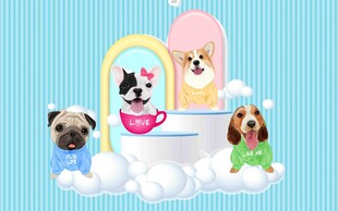 可爱萌宠在梦幻场景玩耍