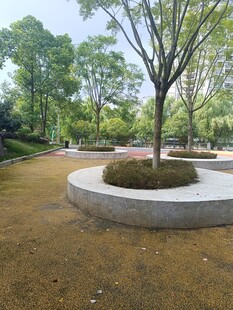 公园中的圆形树池景观