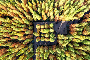 航拍播州湿地公园冬日美景