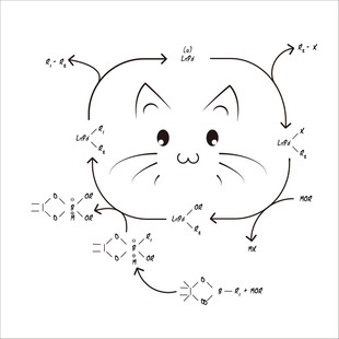 可爱猫咪简笔画教程