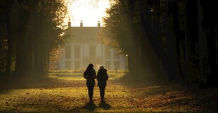夕阳下林间漫步的两人