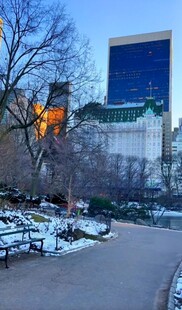 冬日公园雪景中的建筑景观