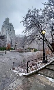 雪后城市公园静谧景象