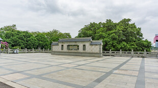 中式广场与周边绿树景观