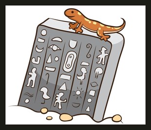 蜥蜴立于神秘刻纹石板上