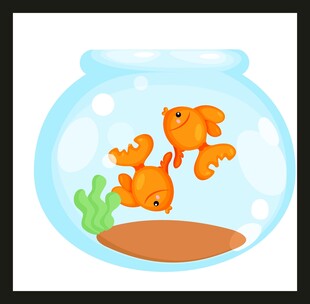 鱼缸中的橙色金鱼