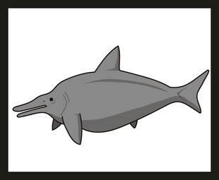 卡通形象的长吻海豚