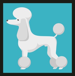 可爱贵宾犬插画