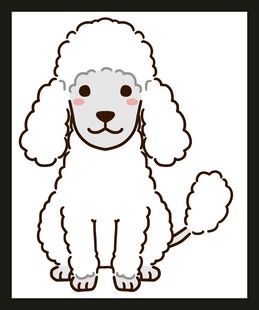 可爱贵宾犬卡通形象