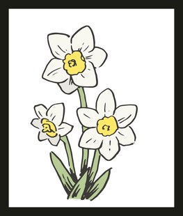 手绘三朵清新水仙花