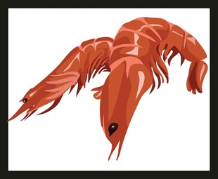 红色大虾插画