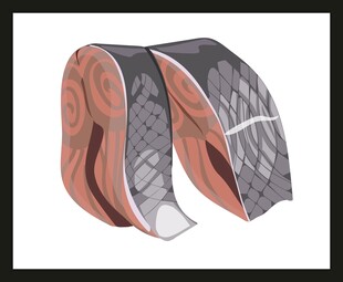 汽车座椅皮革材质展示