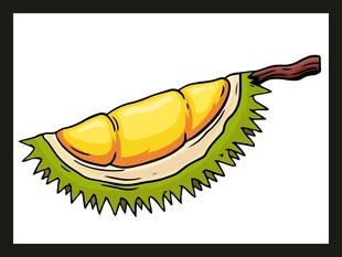 切开的美味榴莲插画
