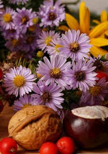 秋日花卉与坚果静物组合