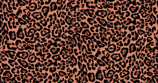 豹纹图案纹理背景