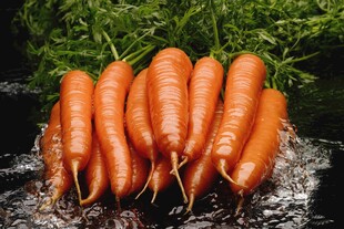 新鲜胡萝卜堆叠