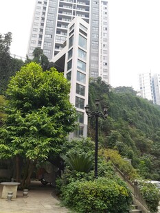 高楼旁绿意盎然的景致