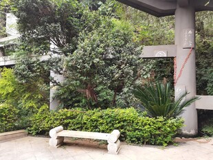 庭院绿植与石凳景观