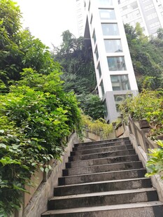 绿植环绕的石阶与高楼