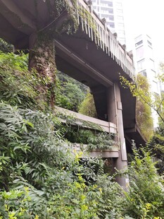 废弃桥梁被绿植覆盖