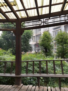 木质凉亭下的绿意景致