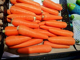 新鲜胡萝卜整齐摆放