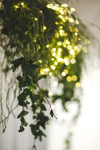 垂挂绿植与闪烁灯光