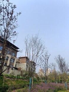 山坡上的古朴建筑