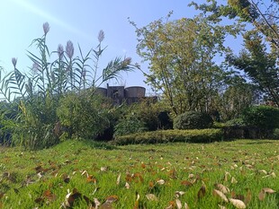 乡村田野间的静谧景致