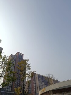 城市高楼与绿树景观
