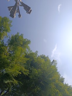 蓝天绿树间的风车