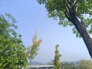 湖畔绿树蓝天风景如画