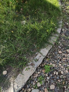 路边草地与碎石景观