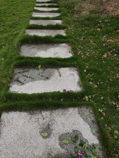 石板小径绿意相伴