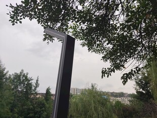 户外路旁的树木与标识牌