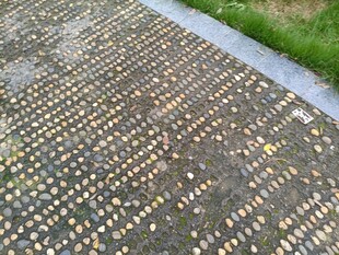 彩色鹅卵石铺就的地面