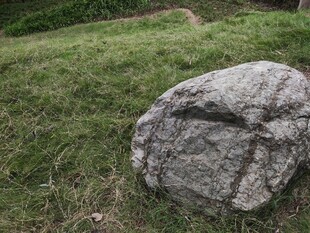 草地上的一块大石头