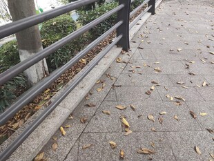 秋日步道落叶与护栏