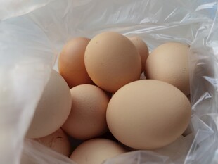袋装新鲜鸡蛋
