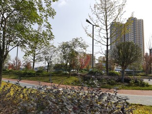 城市公园中的多彩景观