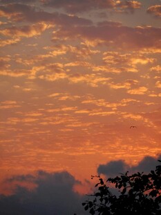 绚丽晚霞中的天际美景